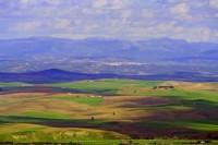 La campiña y la sierra de Córdoba