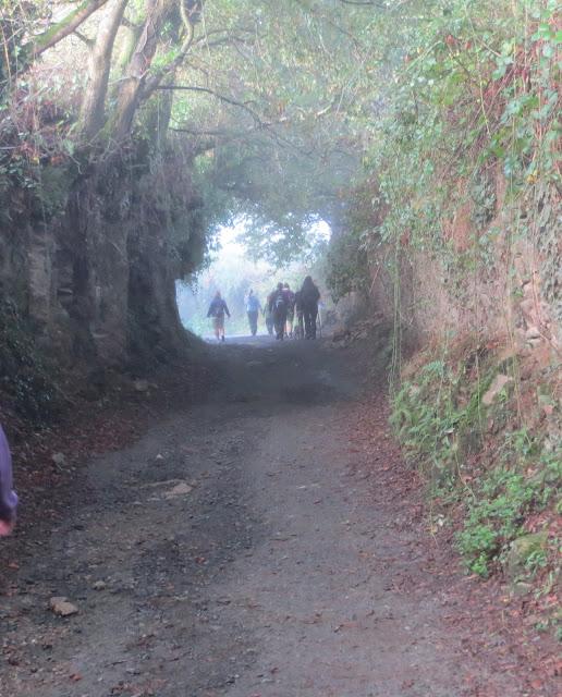 DE VUELTA DEL CAMINO DE SANTIAGO