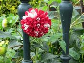 vuelta camino santiago