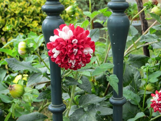 DE VUELTA DEL CAMINO DE SANTIAGO