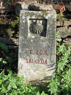 DE VUELTA DEL CAMINO DE SANTIAGO