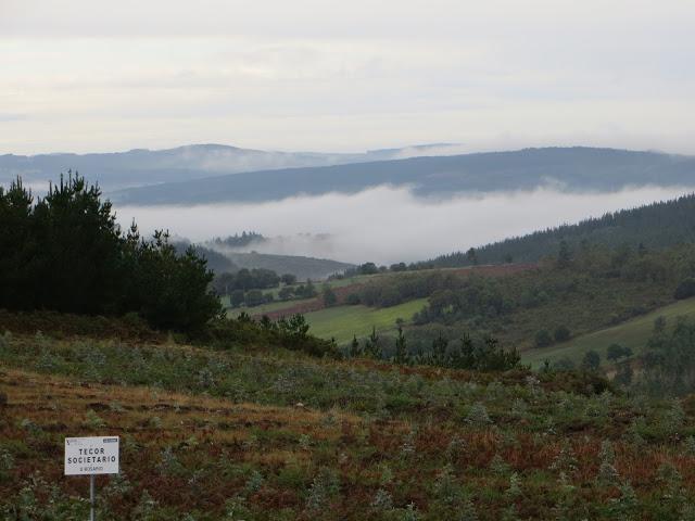 DE VUELTA DEL CAMINO DE SANTIAGO