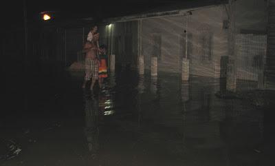 LOS RECLAMOS DEL MAR