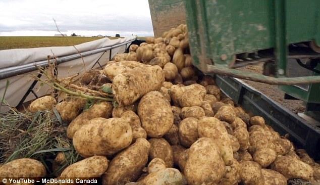 Como se han las patatas fritas de McDonald
