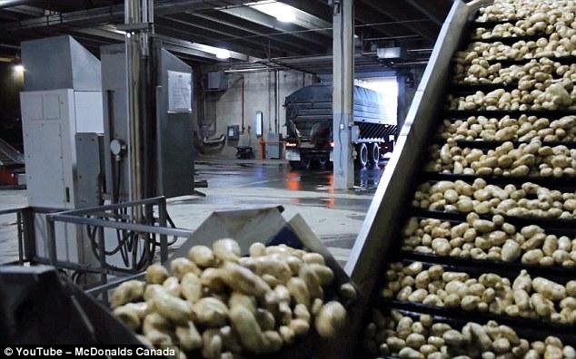 Como se han las patatas fritas de McDonald