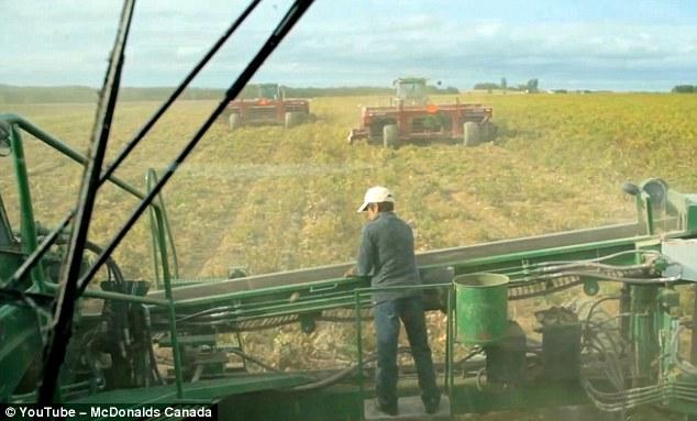 Como se han las patatas fritas de McDonald