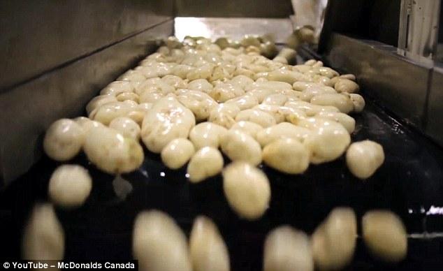 Como se han las patatas fritas de McDonald