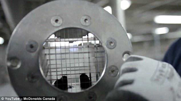 Como se han las patatas fritas de McDonald