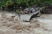 El caso de las iguanas balseras.