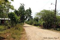 Shiroles de Talamanca