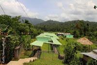 Shiroles de Talamanca