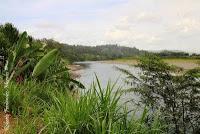 Shiroles de Talamanca