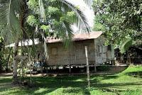 Shiroles de Talamanca