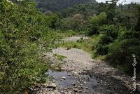 Shiroles de Talamanca