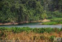 Shiroles de Talamanca