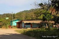 Shiroles de Talamanca