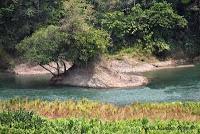 Shiroles de Talamanca