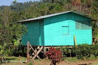 Shiroles de Talamanca