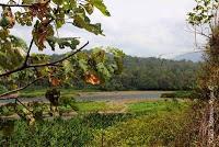 Shiroles de Talamanca