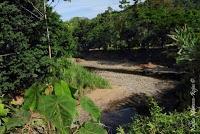 Shiroles de Talamanca