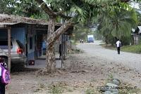 Shiroles de Talamanca