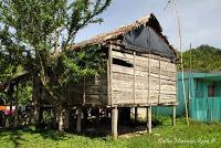 Shiroles de Talamanca