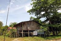 Shiroles de Talamanca