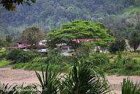 Shiroles de Talamanca