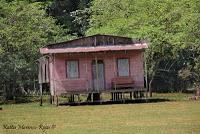 Shiroles de Talamanca