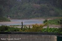 Shiroles de Talamanca