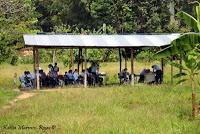 Shiroles de Talamanca