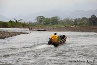 Shiroles de Talamanca