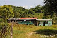 Shiroles de Talamanca