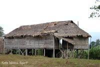 Shiroles de Talamanca