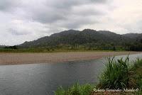 Shiroles de Talamanca