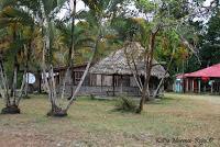 Shiroles de Talamanca