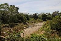 Shiroles de Talamanca