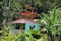 Shiroles de Talamanca