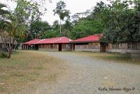 Shiroles de Talamanca