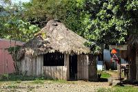 Shiroles de Talamanca