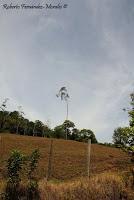 Shiroles de Talamanca