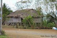Shiroles de Talamanca