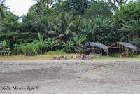 Shiroles de Talamanca