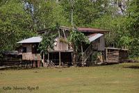 Shiroles de Talamanca