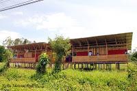 Shiroles de Talamanca