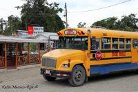 Shiroles de Talamanca