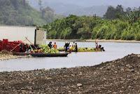 Shiroles de Talamanca