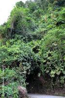 Shiroles de Talamanca