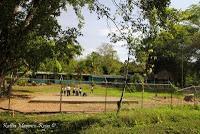 Shiroles de Talamanca