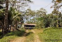 Shiroles de Talamanca